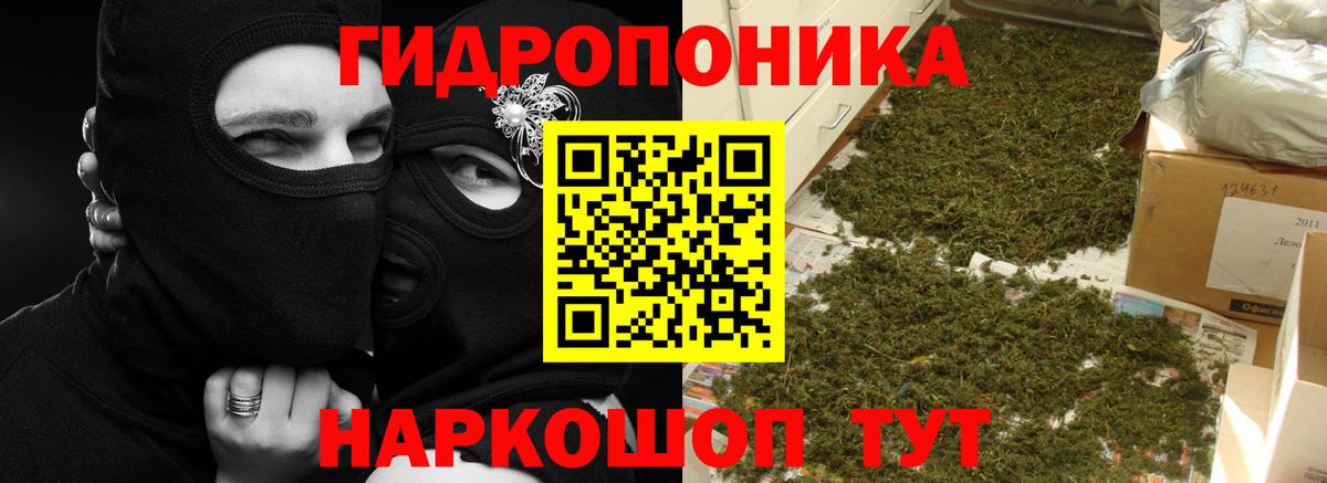 Бошки Шишки тримм Корсаков